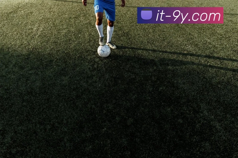 九游官网平台生态图